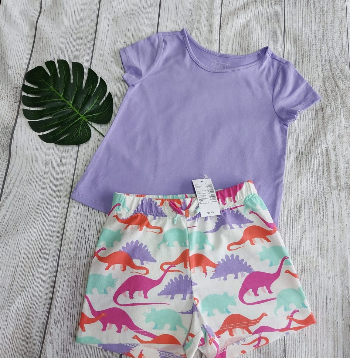 Children’s Place Toddler Girls T-Shirt & Print Shorts 2-pc Set