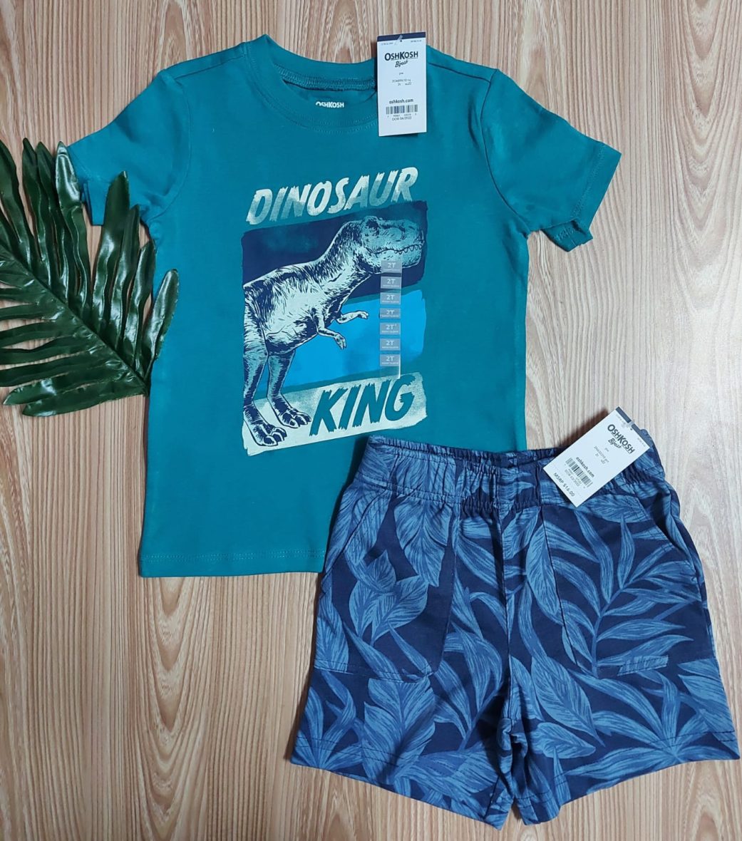 OshKosh Baby & Toddler Boys Dinosaur King Tee & Palm Tree Short 2 – Piece