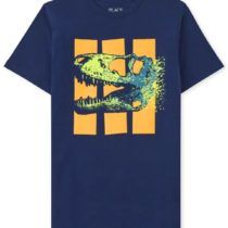 TCP boys dino graphic tee navy blue