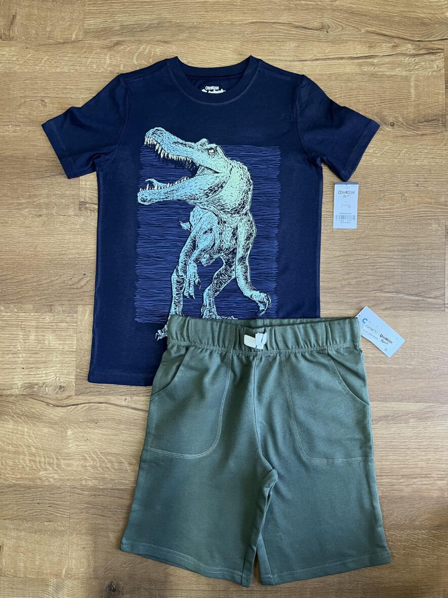 Carter’s Boys Navy Dino Tee & Green French Terry Shorts 2 – Piece Set