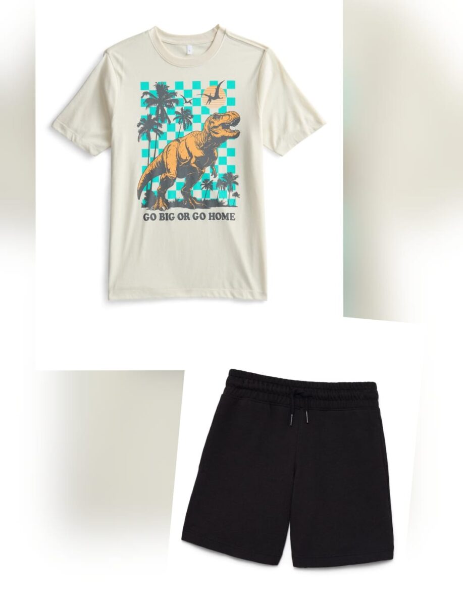 Wonder Nation Boys Dino Go Big Graphic Tee & Shorts Set