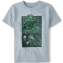 Boys Turtle Graphic Tee